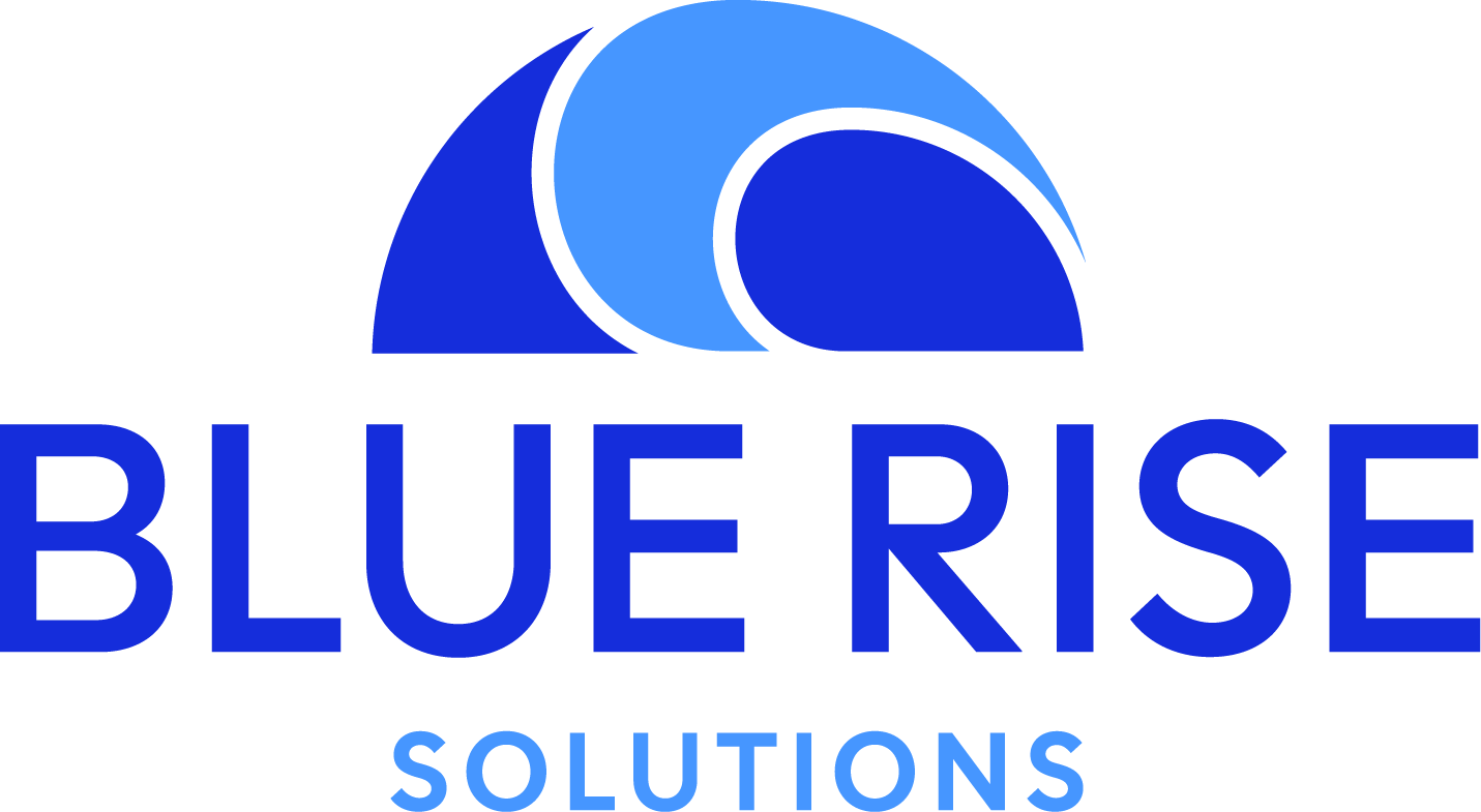 Blue Rise Solutions - Bronze Sponsor